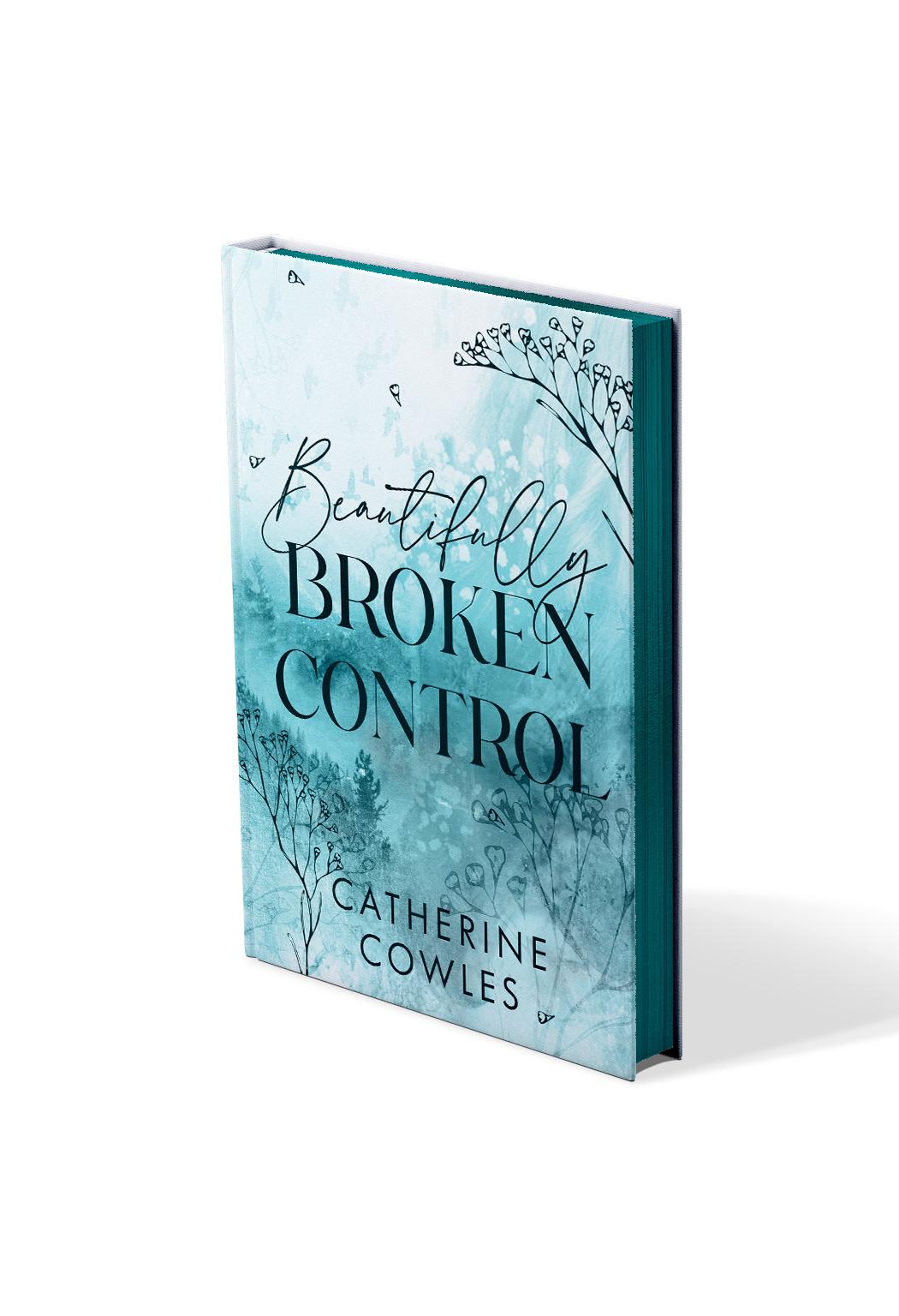 Beautifully Broken Control  - Catherine Cowles