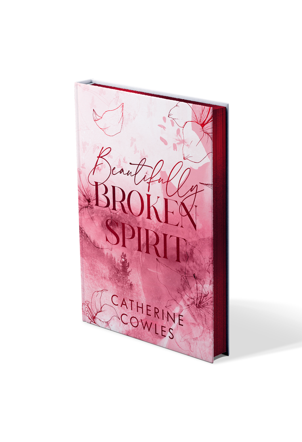 Beautifully Broken Spirit - Catherine Cowles